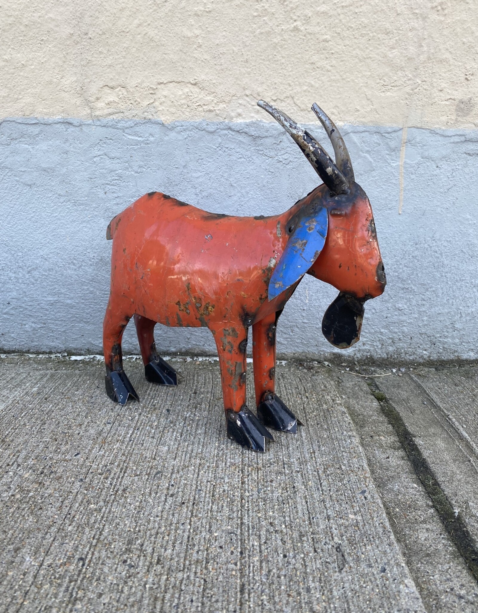 Extra Small Goat
