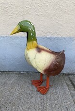 Mallard Duck - Curbside Pick Up Only!