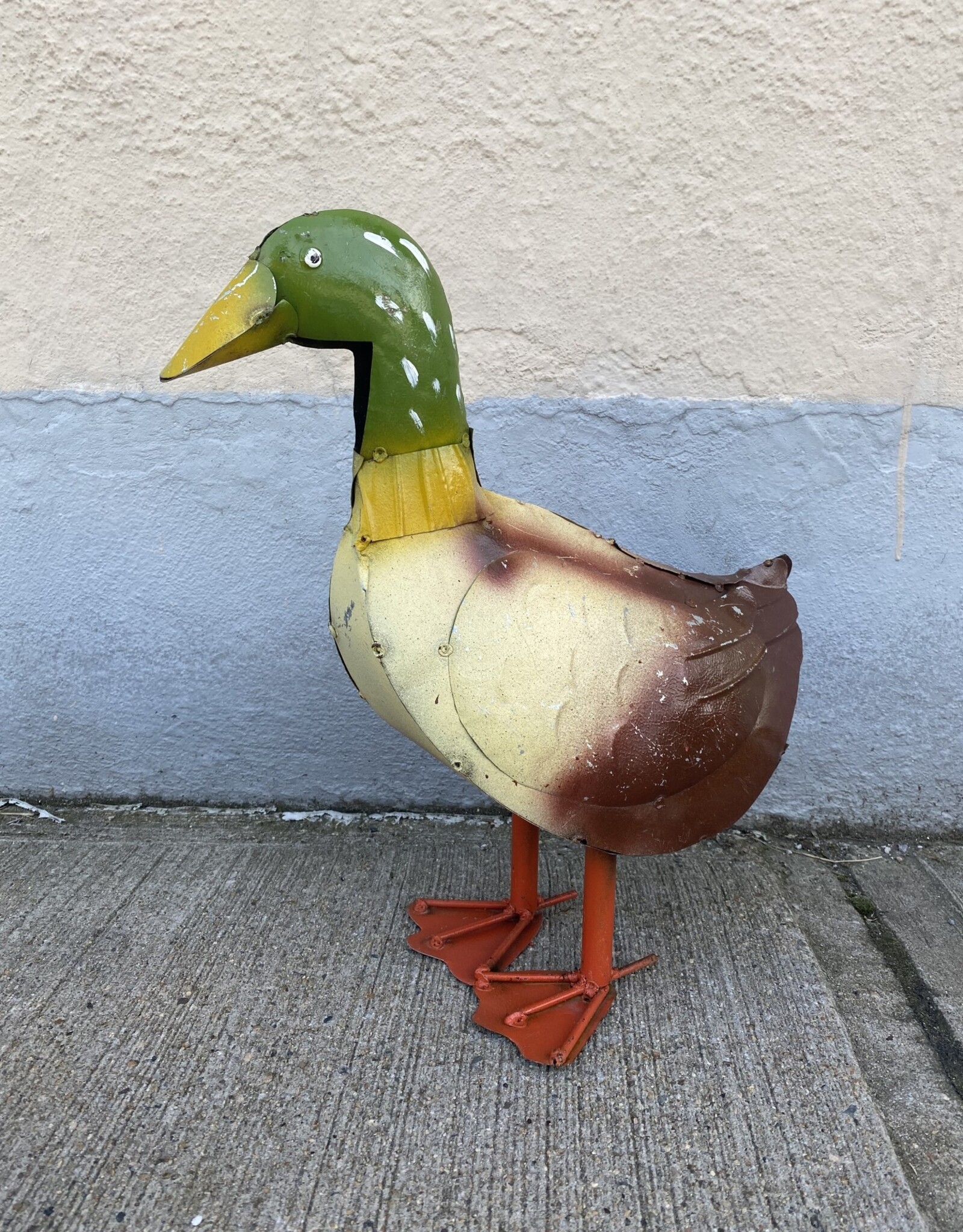 Mallard Duck - Curbside Pick Up Only!