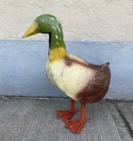 Mallard Duck - Curbside Pick Up Only!