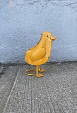 All Yellow Chick