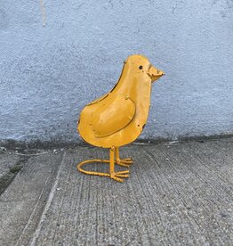 All Yellow Chick