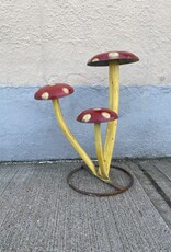 Wacky Mushrooms - Curbside Pick Up Only!