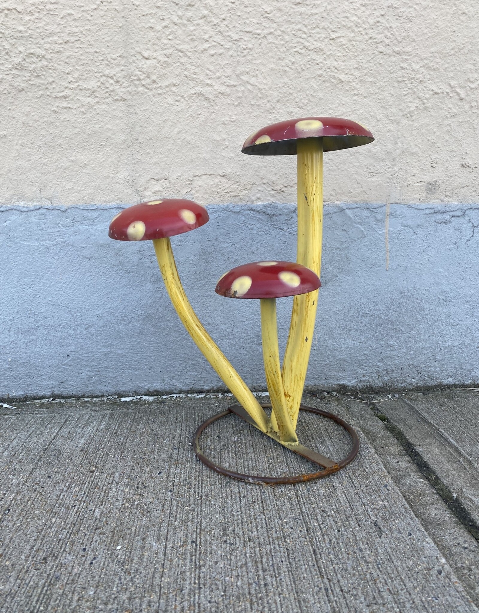 Wacky Mushrooms - Curbside Pick Up Only!