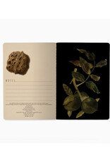 Night Garden Notebook