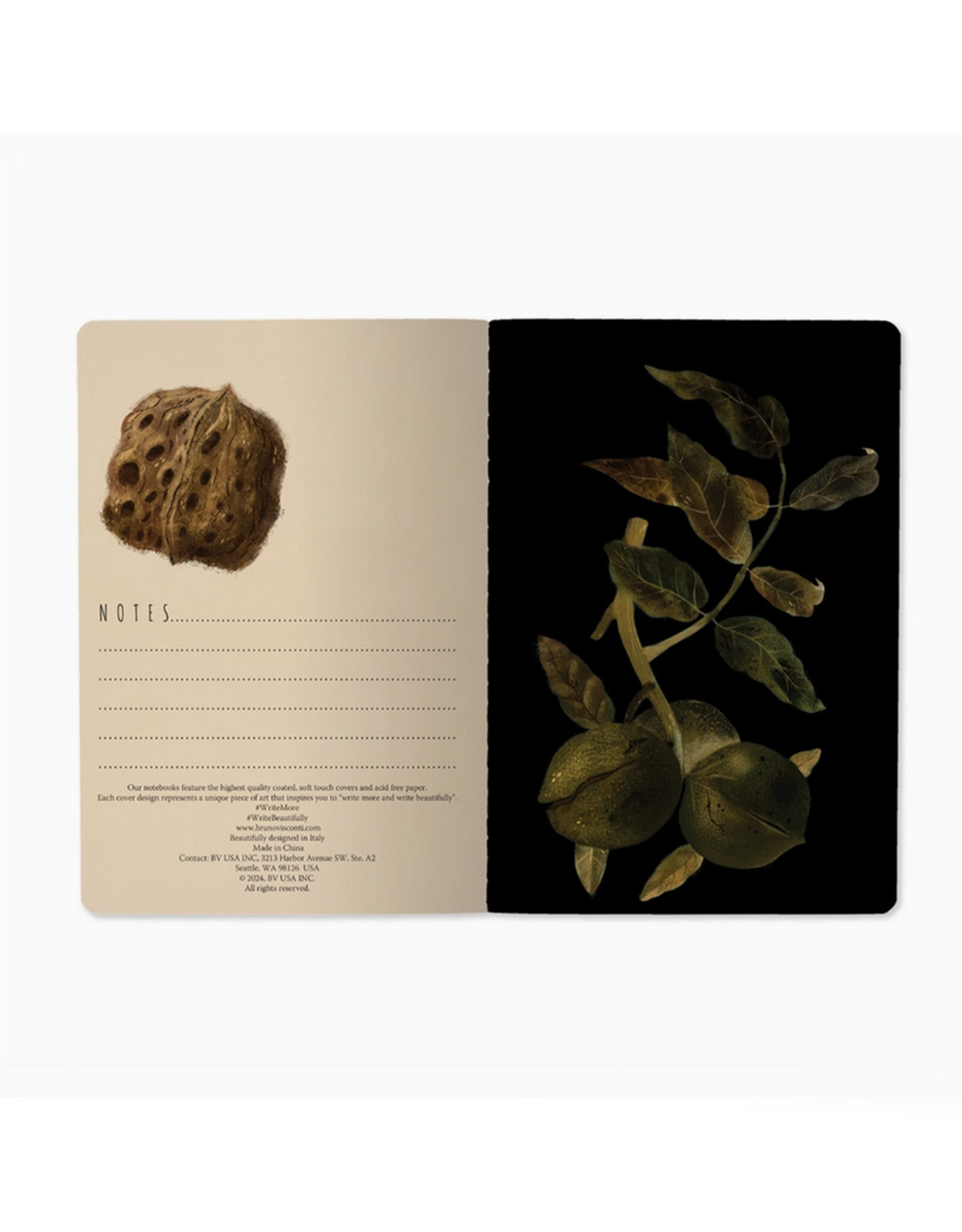 Night Garden Notebook