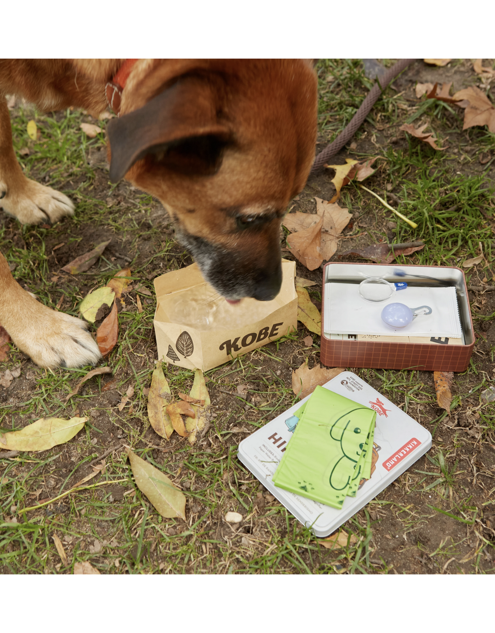 Kobe Dog Hiking Kit