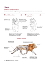 How to Draw Animals