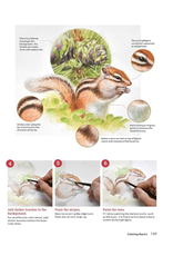 How to Draw Animals