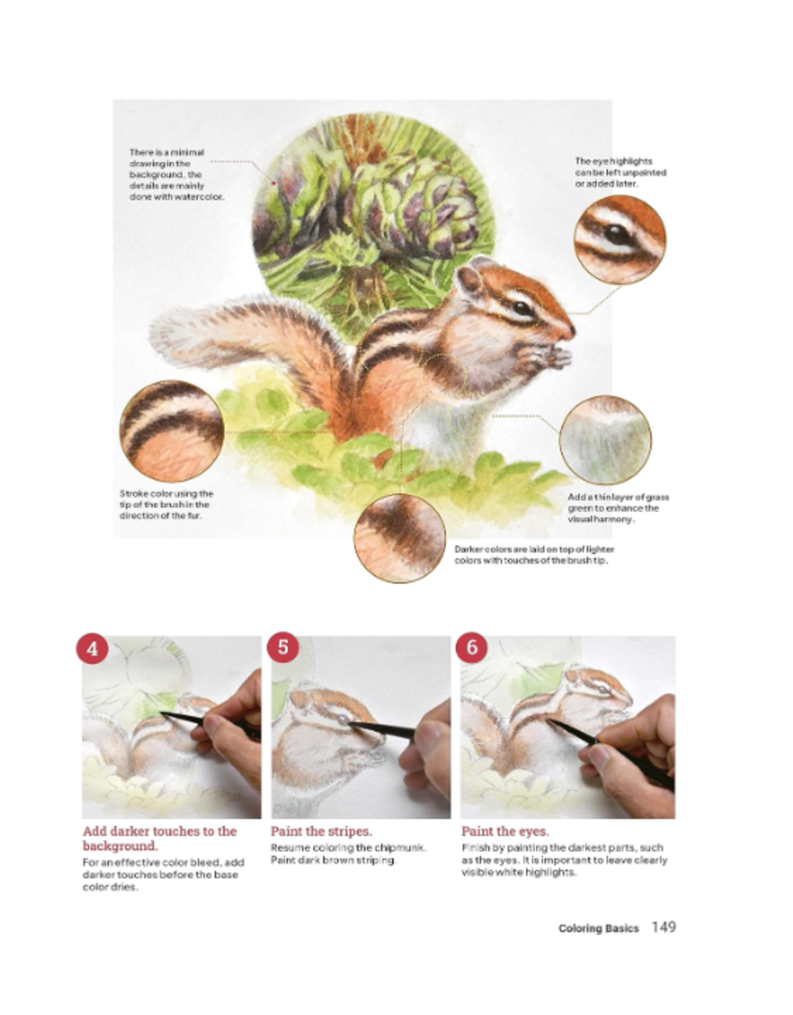 How to Draw Animals