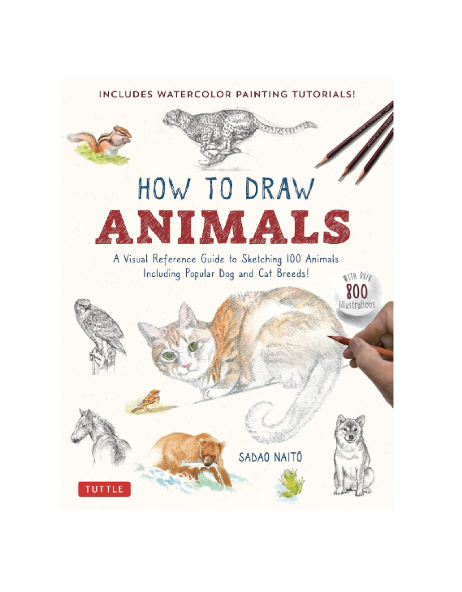 How to Draw Animals
