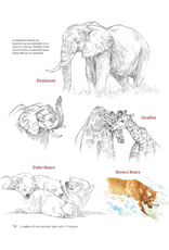 How to Draw Animals