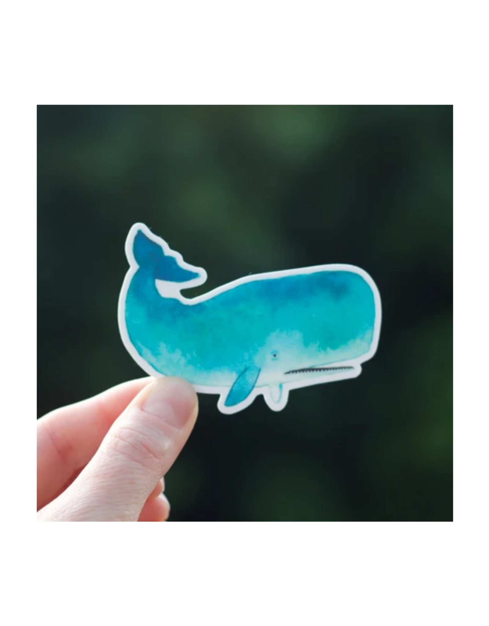 Sperm Whale Sticker