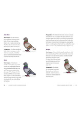 A Pocket Guide to Pigeon Watching