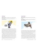 A Pocket Guide to Pigeon Watching