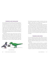 A Pocket Guide to Pigeon Watching