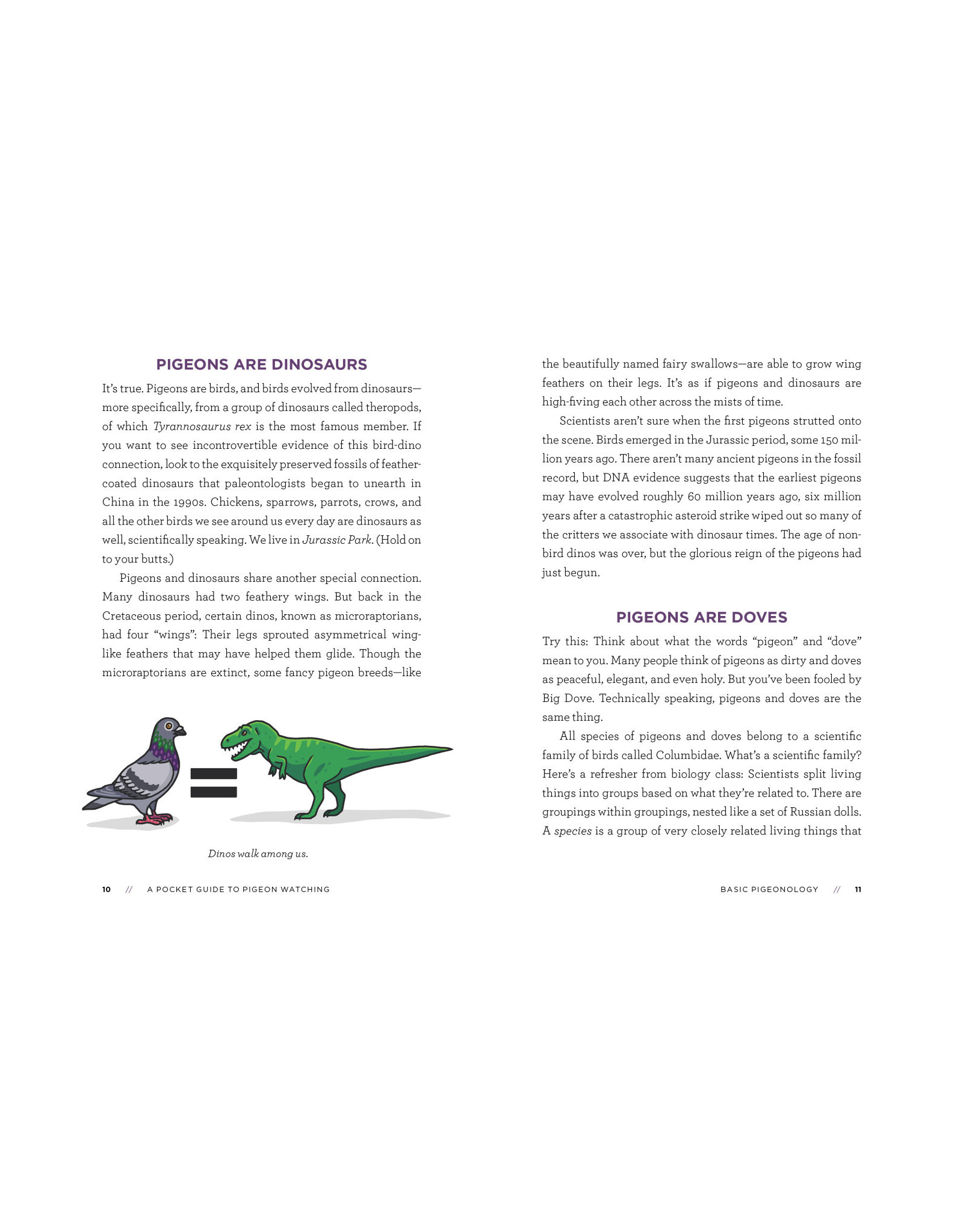 A Pocket Guide to Pigeon Watching