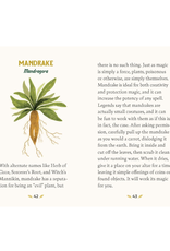 Forest Magical Oracle Deck