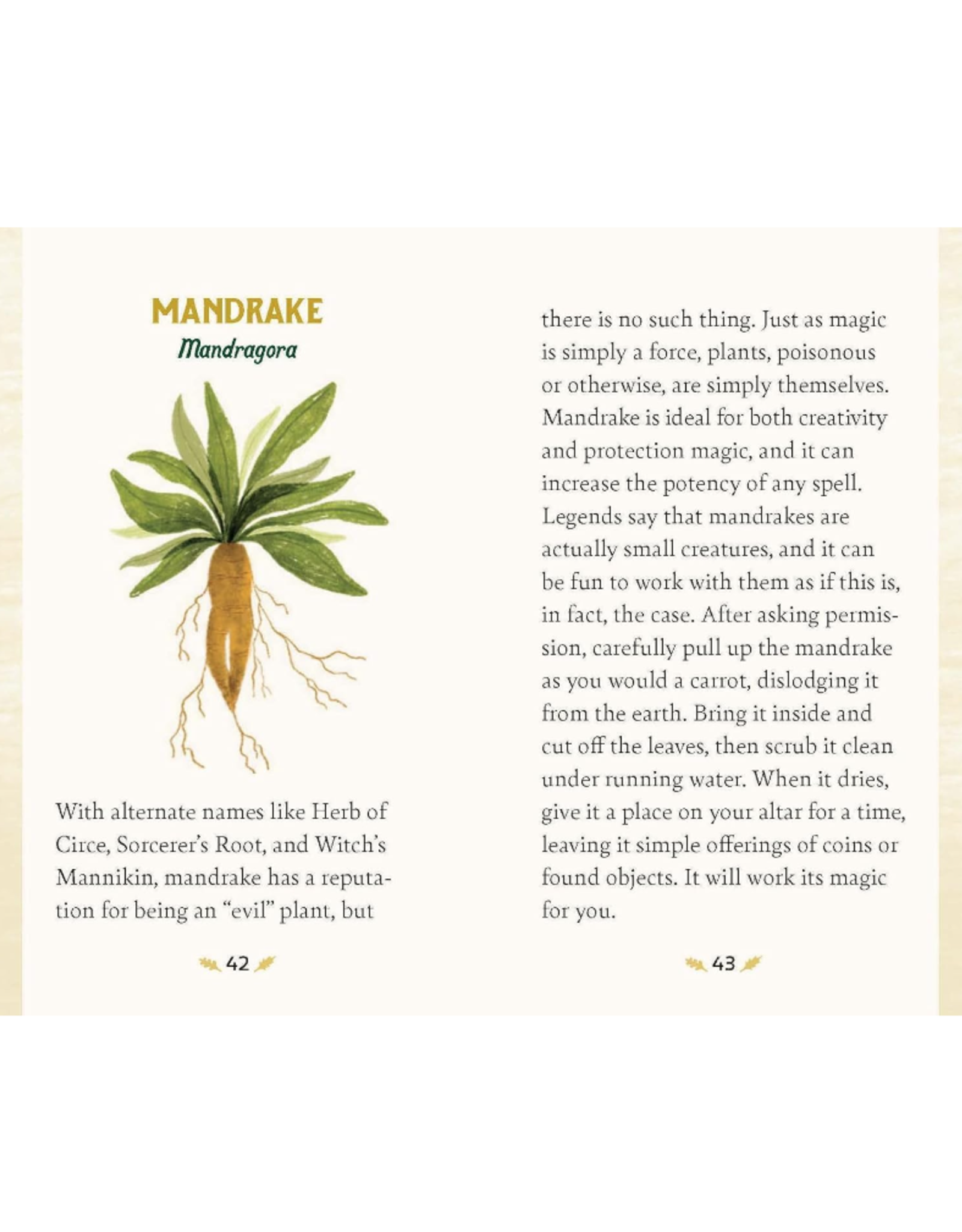 Forest Magical Oracle Deck