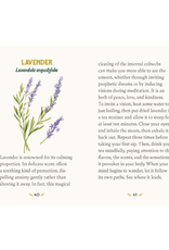 Forest Magical Oracle Deck