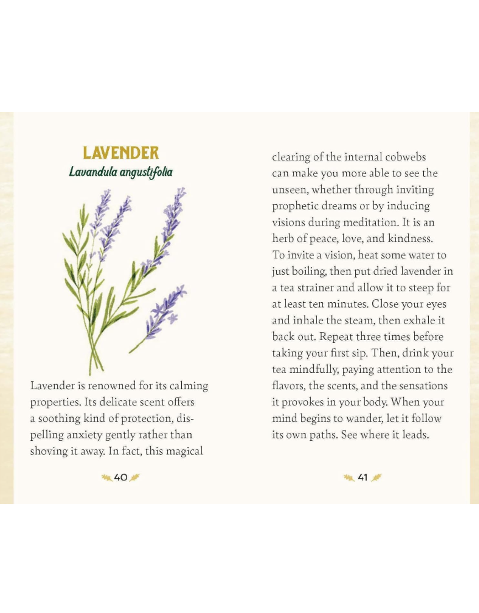 Forest Magical Oracle Deck