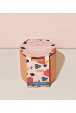 Tiny Terra Cotta Kit - Champagne Poppies