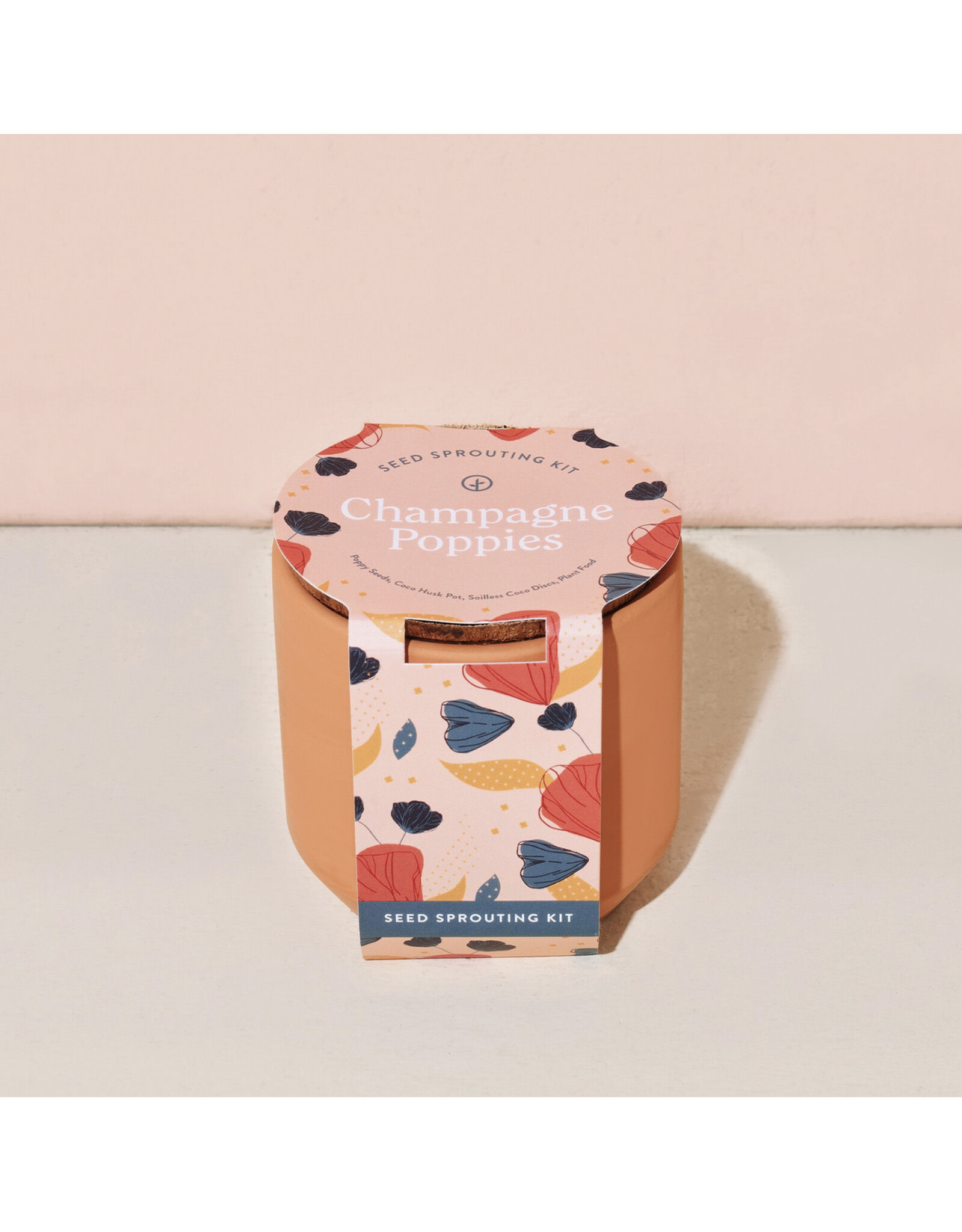 Tiny Terra Cotta Kit - Champagne Poppies