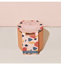 Tiny Terra Cotta Kit - Champagne Poppies