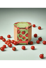Tiny Terra Cotta Garden Kit - Cherry Tomato