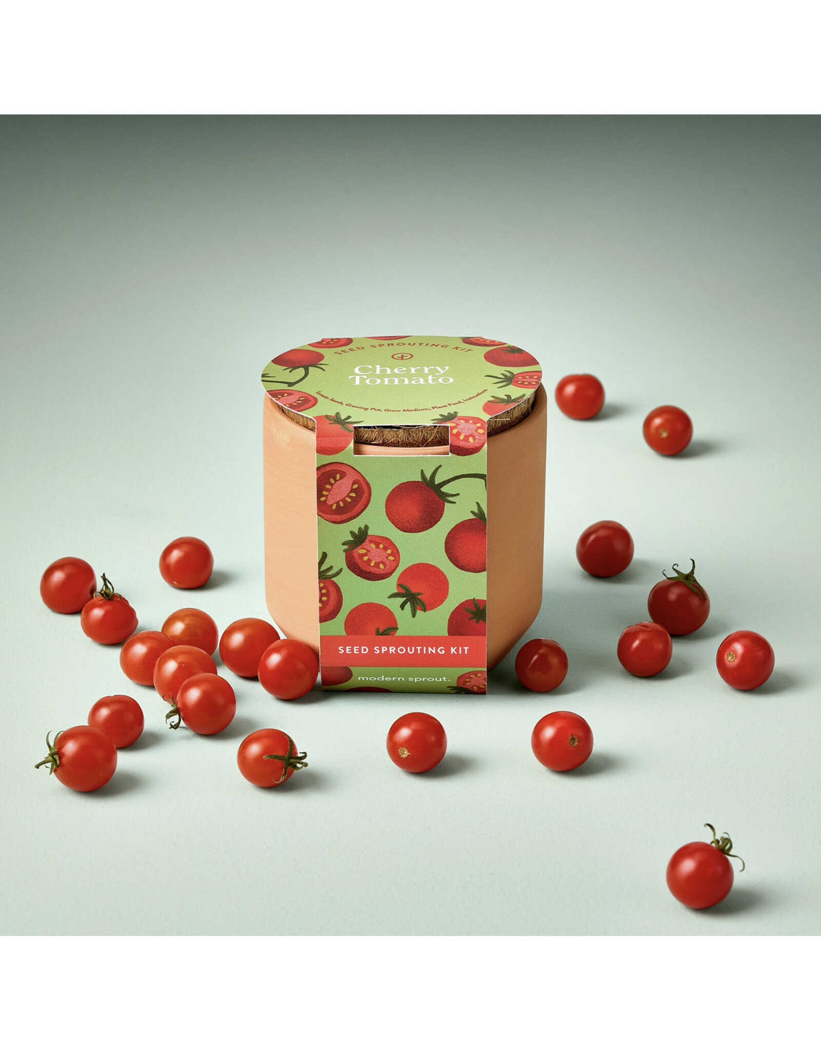 Tiny Terra Cotta Garden Kit - Cherry Tomato