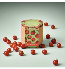 Tiny Terra Cotta Garden Kit - Cherry Tomato