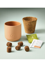 Tiny Terra Cotta Garden Kit - Cherry Tomato
