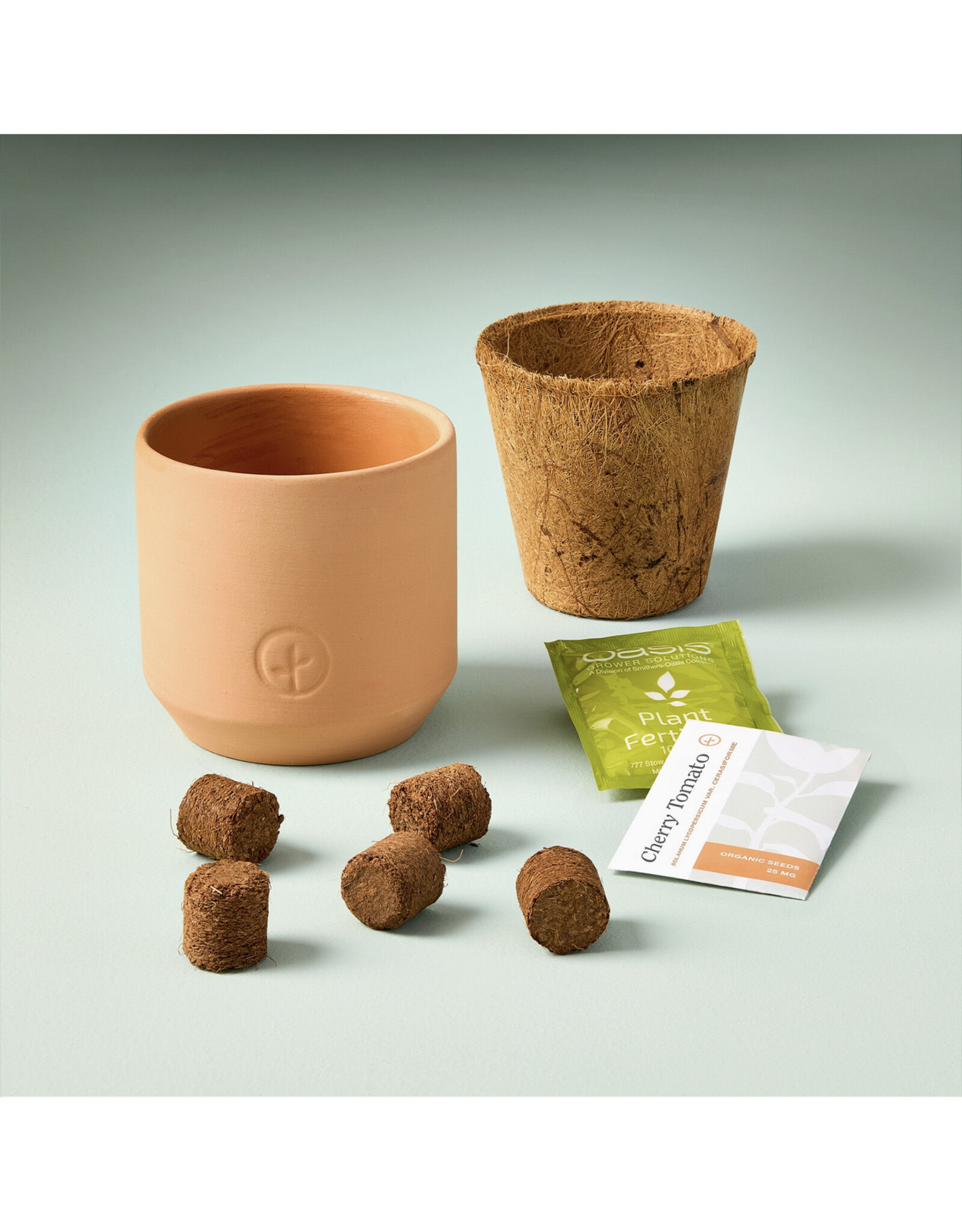 Tiny Terra Cotta Garden Kit - Cherry Tomato