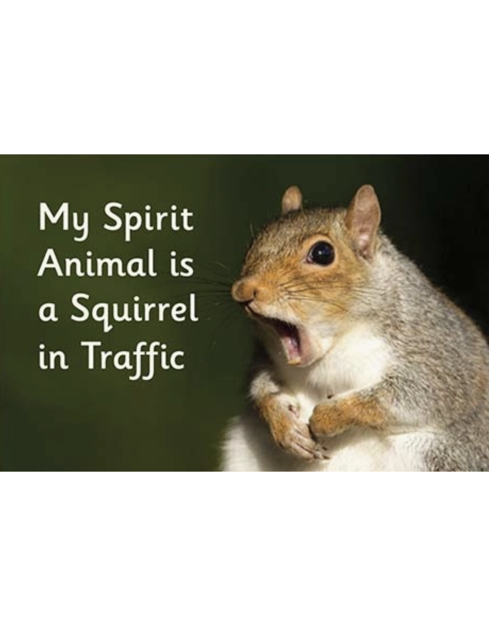 My Spirit Animal Is A Squirrel In Traffic Magnet