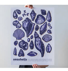 Seashells Print