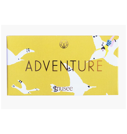 Adventure Soap *