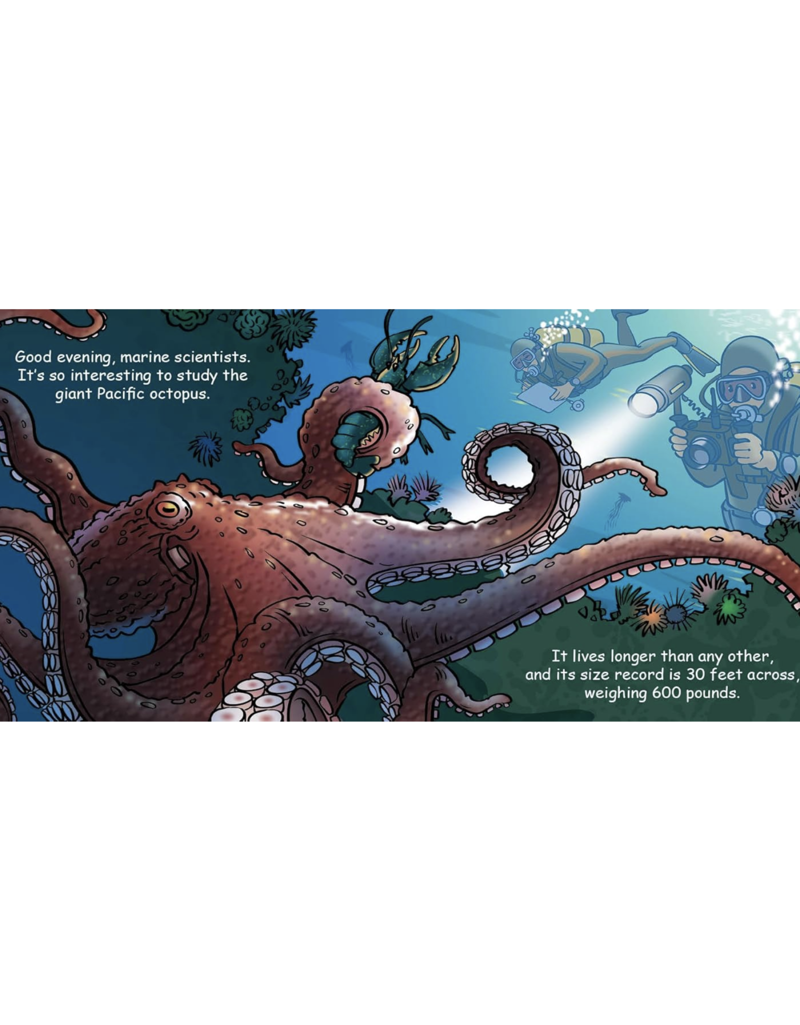 Good Night Octopus