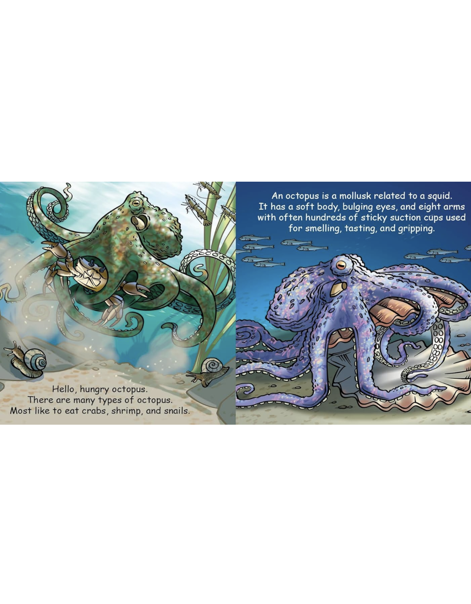 Good Night Octopus