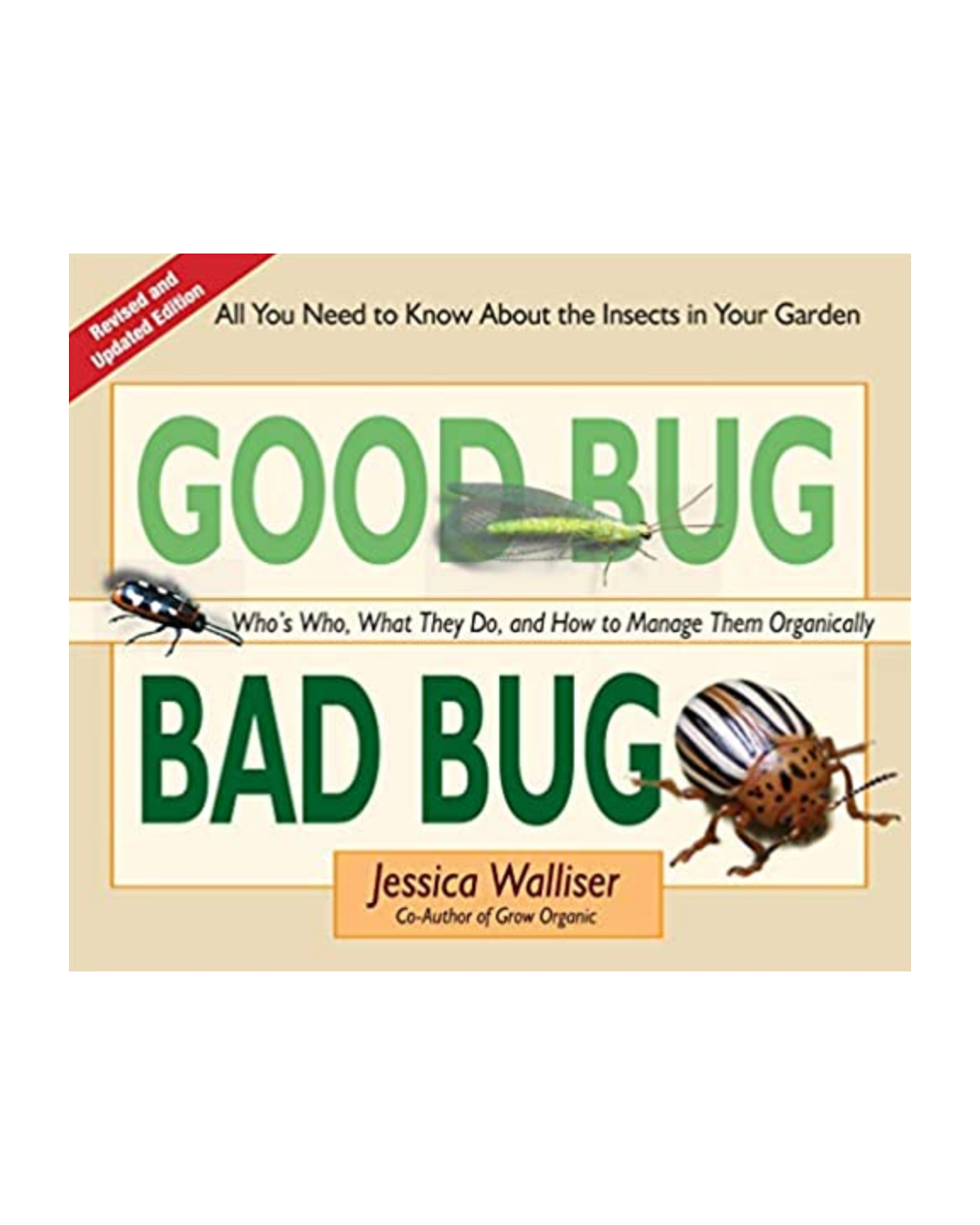 Good Bug, Bad Bug Seconds Sale Home