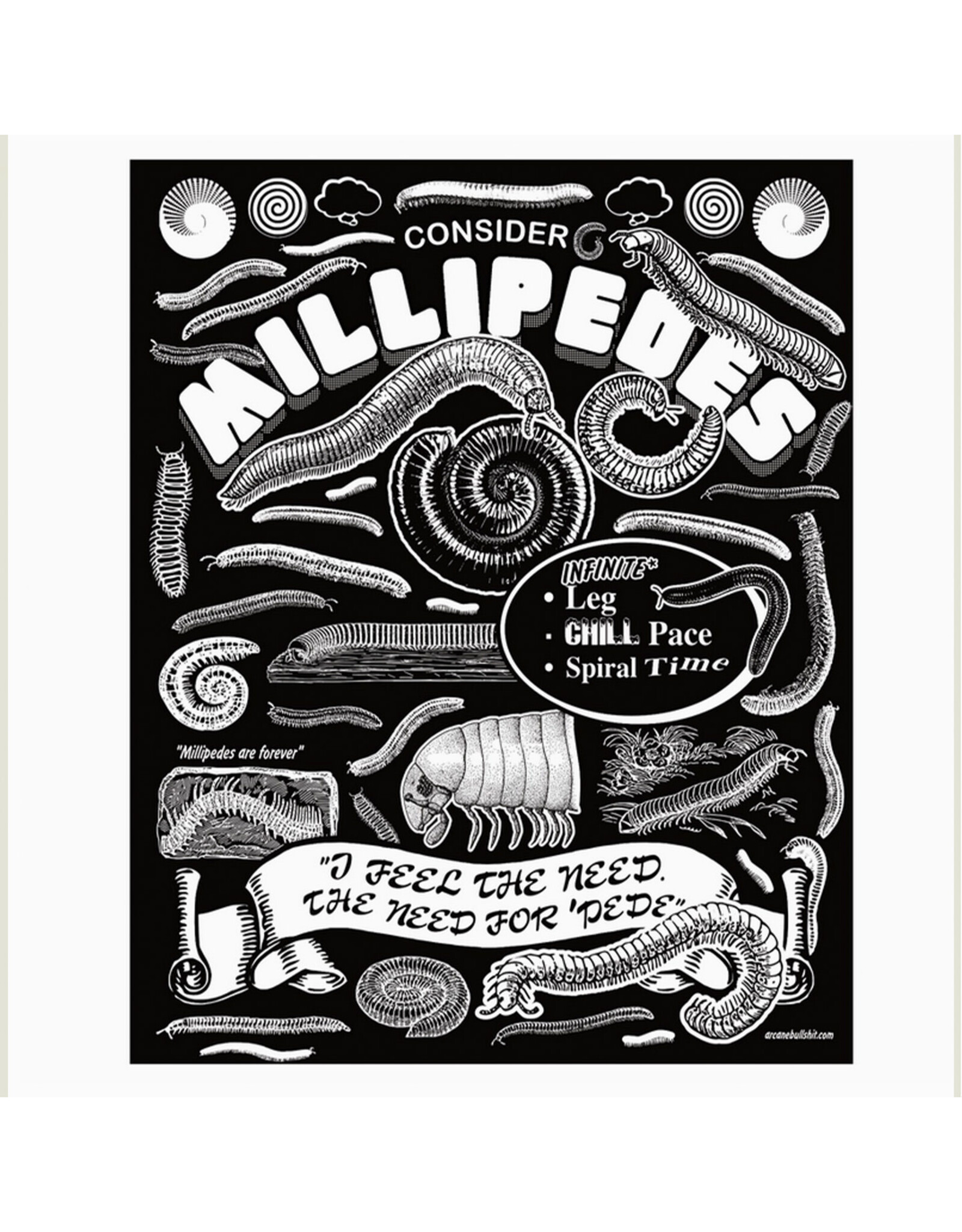 Consider Millipedes Print - 12x16"