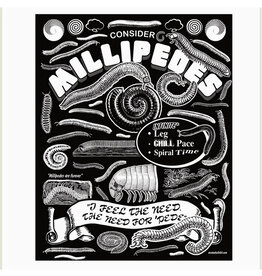 Consider Millipedes Print - 12x16"