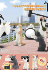 Social Media Cat Blind Box