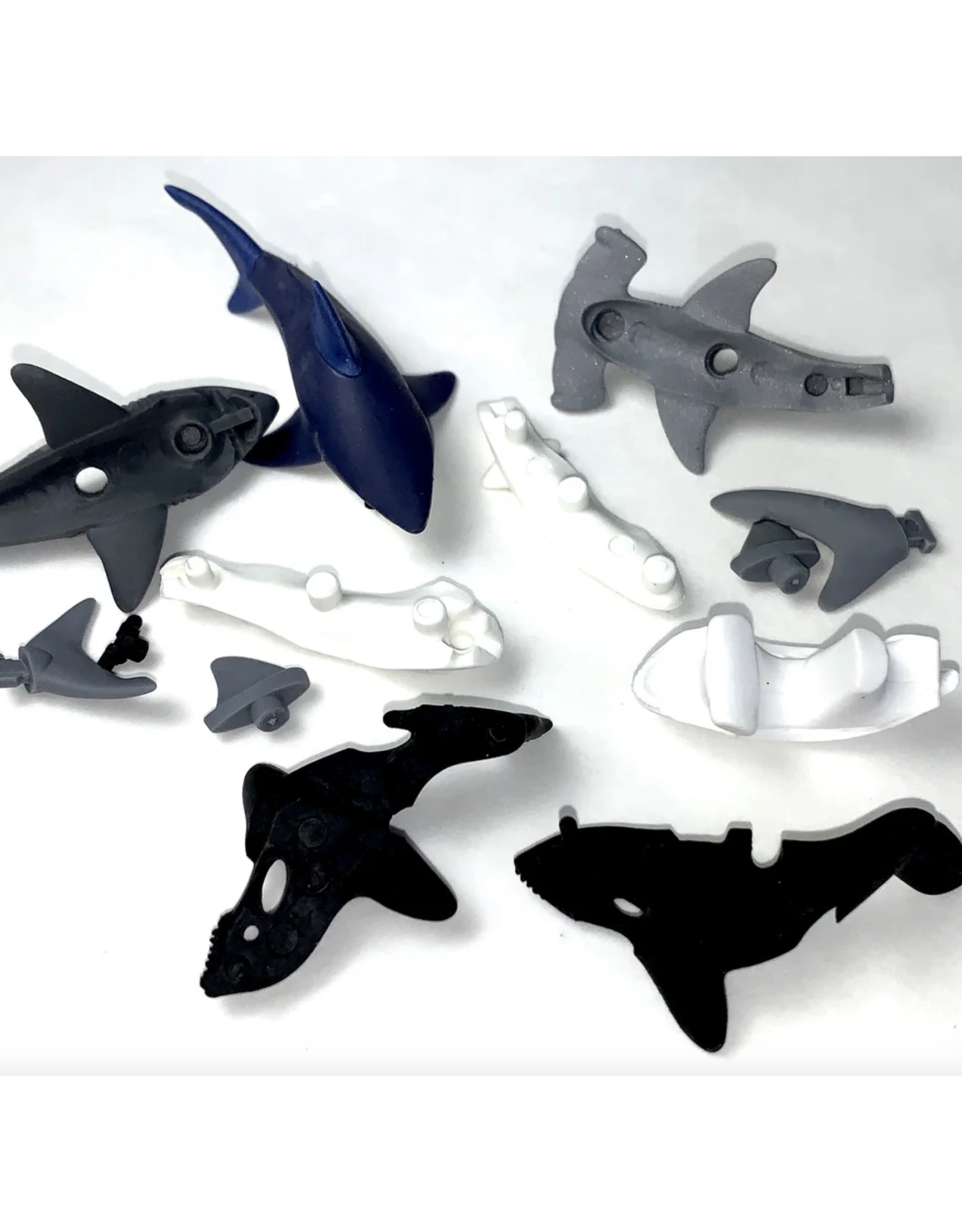 Iwako Shark Puzzle Eraser (Assorted)