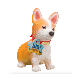 Epic Corgi Puppy *