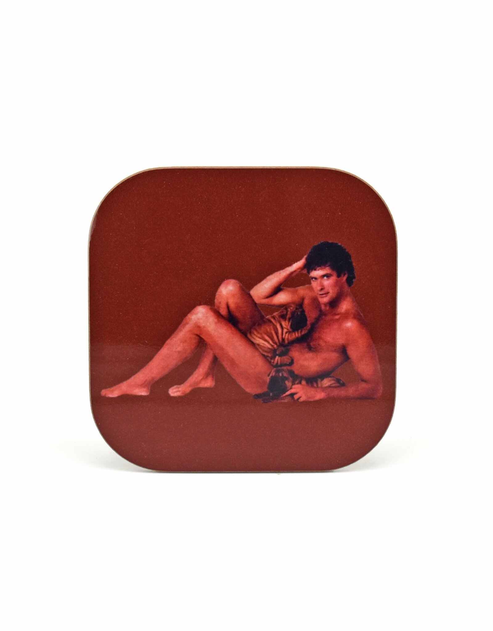 David Hasselhoff Naked Coaster