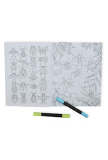 Wonderful Insects Coloring Book