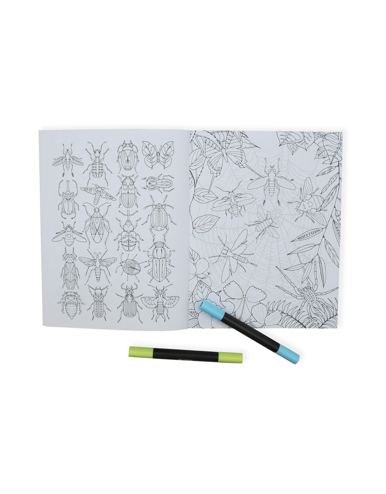 Wonderful Insects Coloring Book