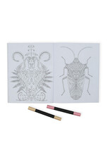 Wonderful Insects Coloring Book