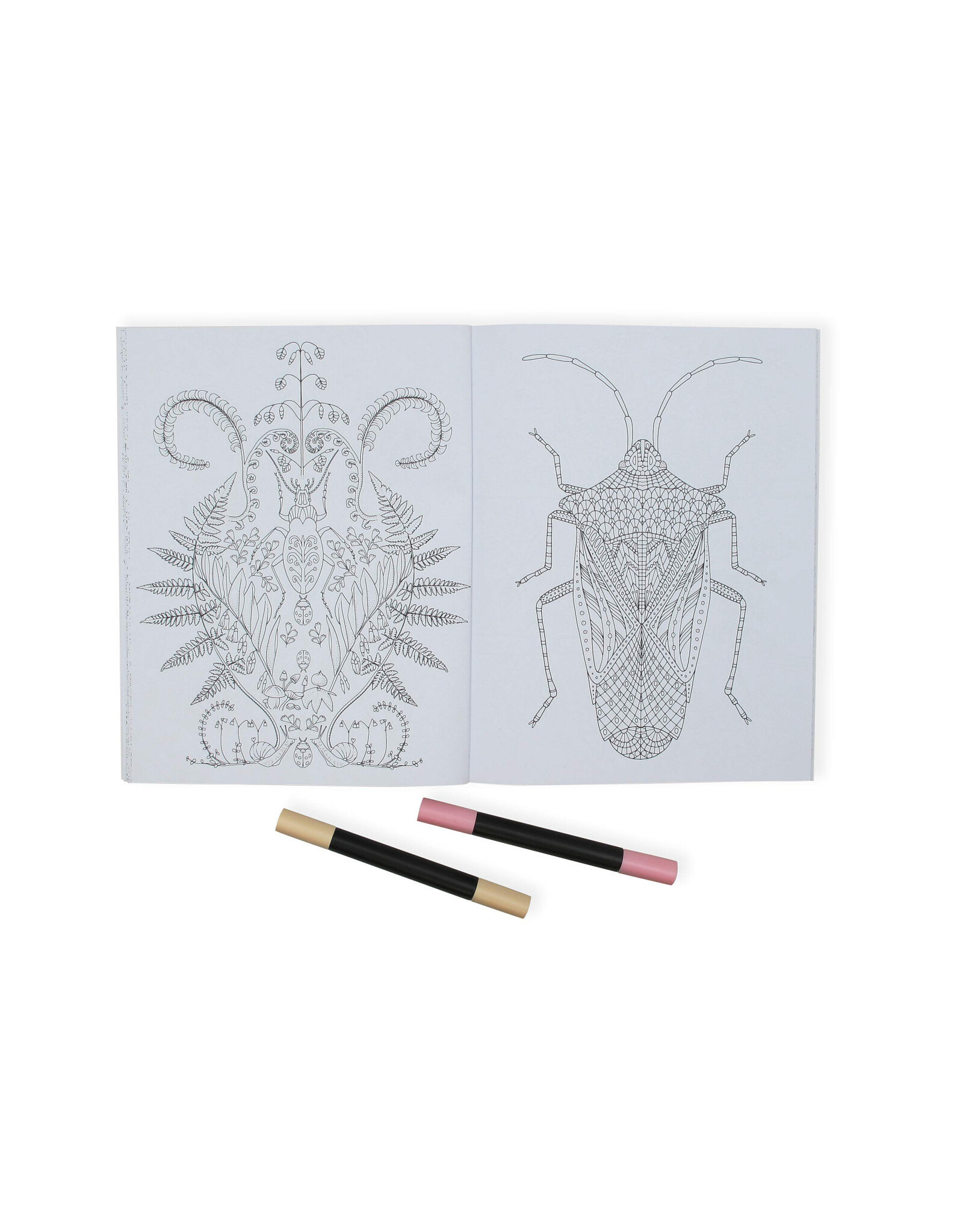 Wonderful Insects Coloring Book