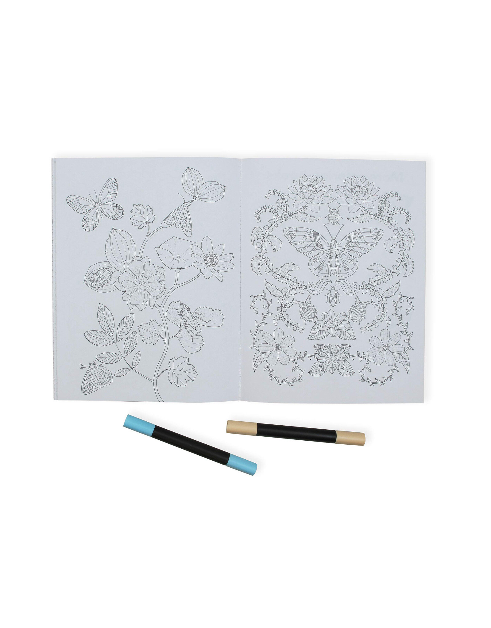 Wonderful Insects Coloring Book